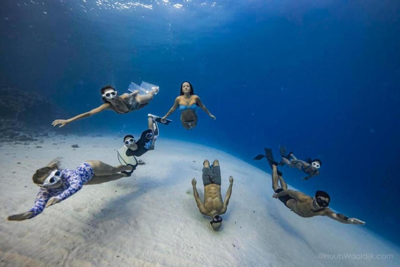 Albergue Blue Chitta Yoga & Freediving Ko Tao Exterior foto